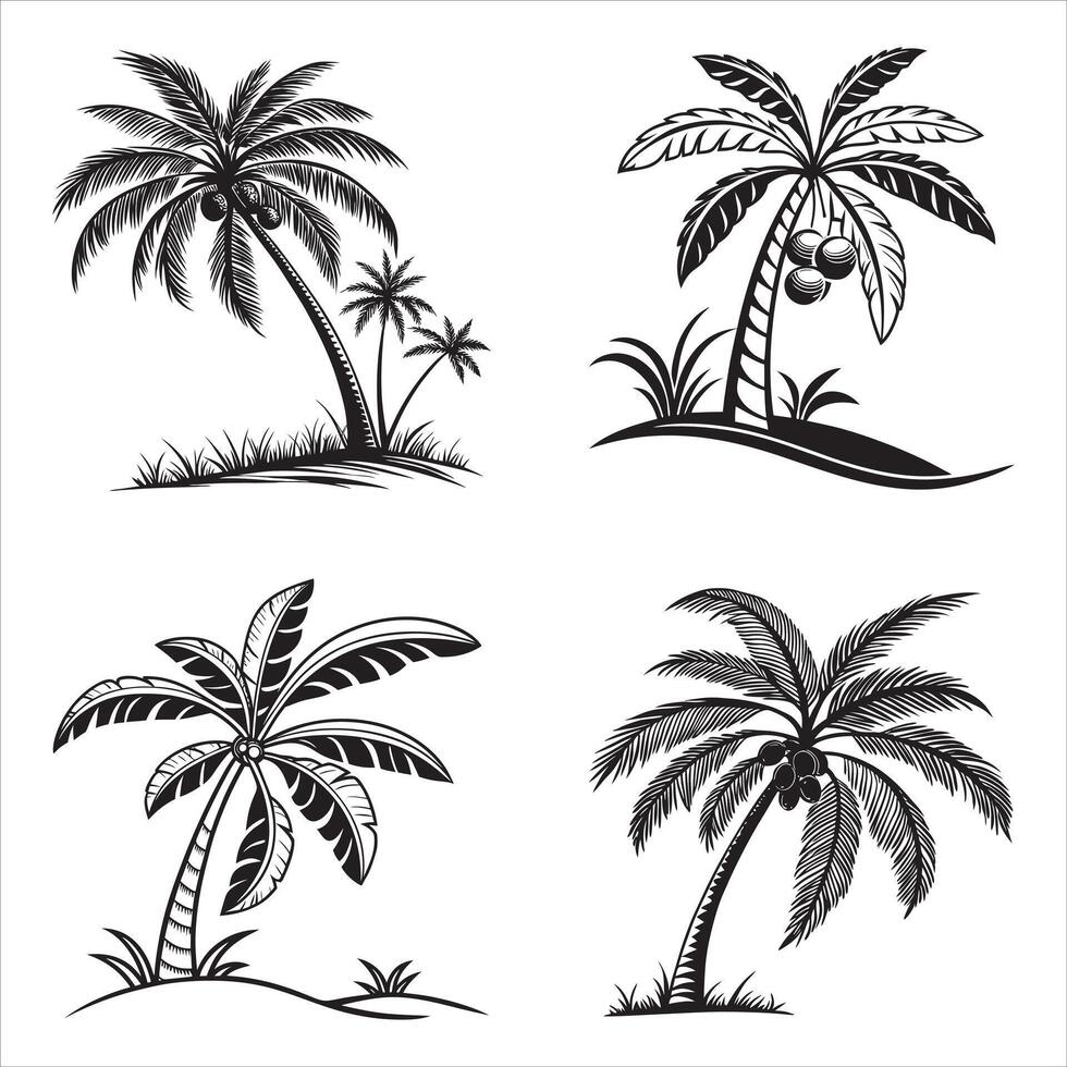 Four Tropical Palm Tree Illustrations Featuring a Variety of Frond Styles and Coconut Arrangements Against a Clean White Background vector