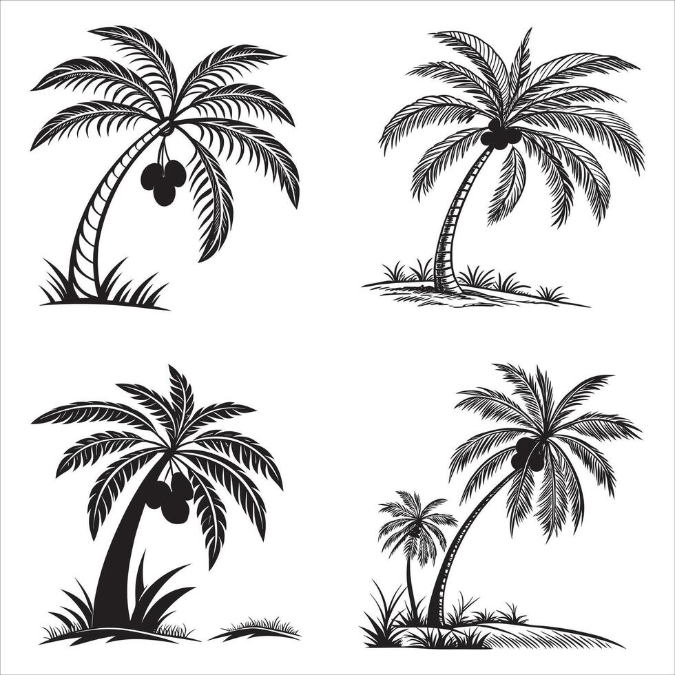 Elegant Black and White Palm Tree Illustrations Depicting Tropical Paradise and Summer Vibes with Artistic Silhouette Design vector
