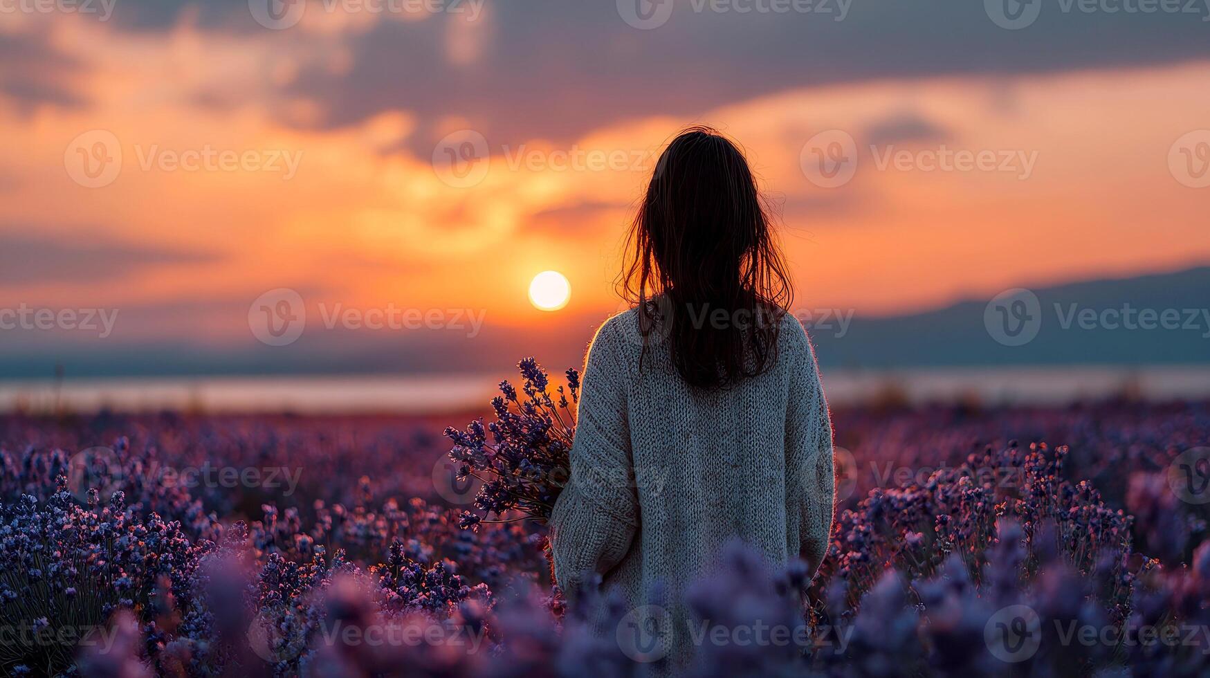 Woman in lavender field at sunset photo