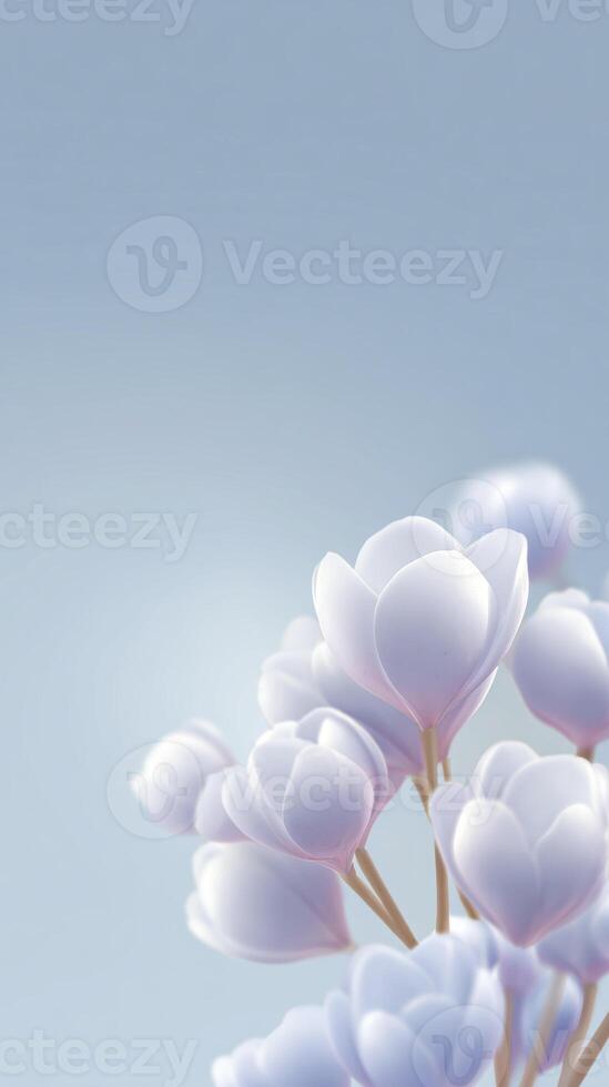 A blue background with white flowers photo