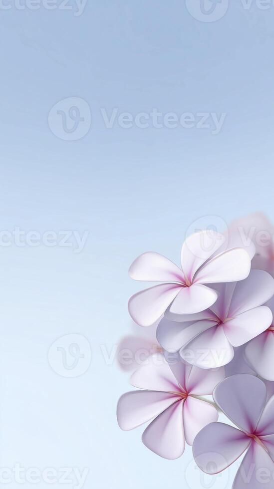 Beautiful pink and white flowers with delicate petals are arranged artistically against a soft blue background, creating a serene and tranquil atmosphere for relaxation and inspiration photo