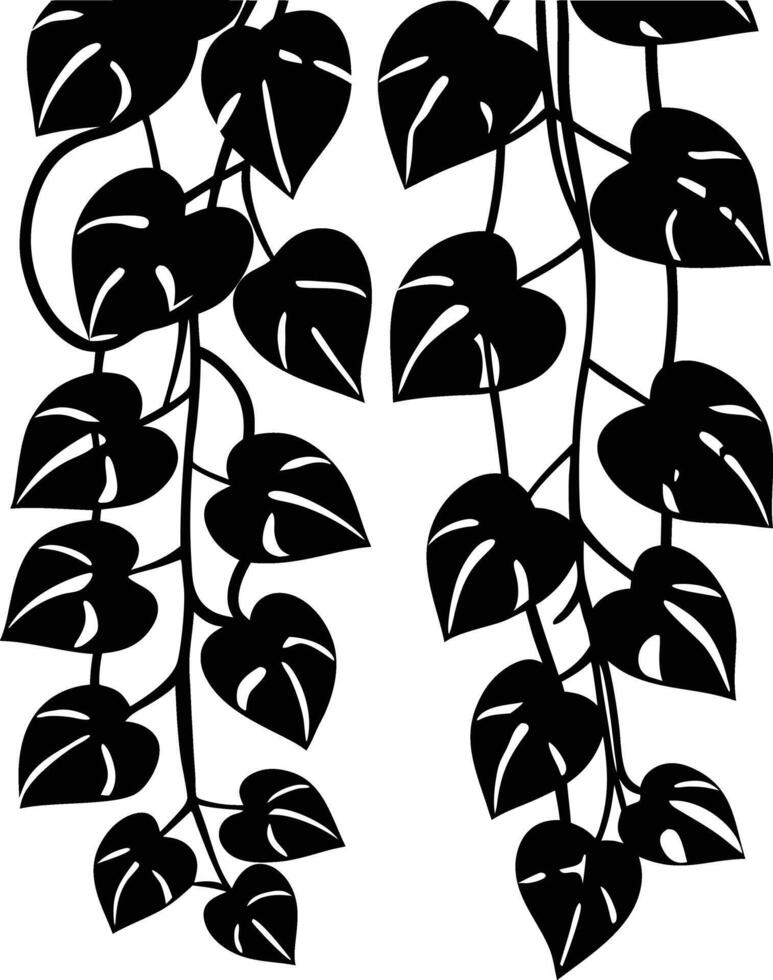 Decorative pothos leaves silhouette design. vector