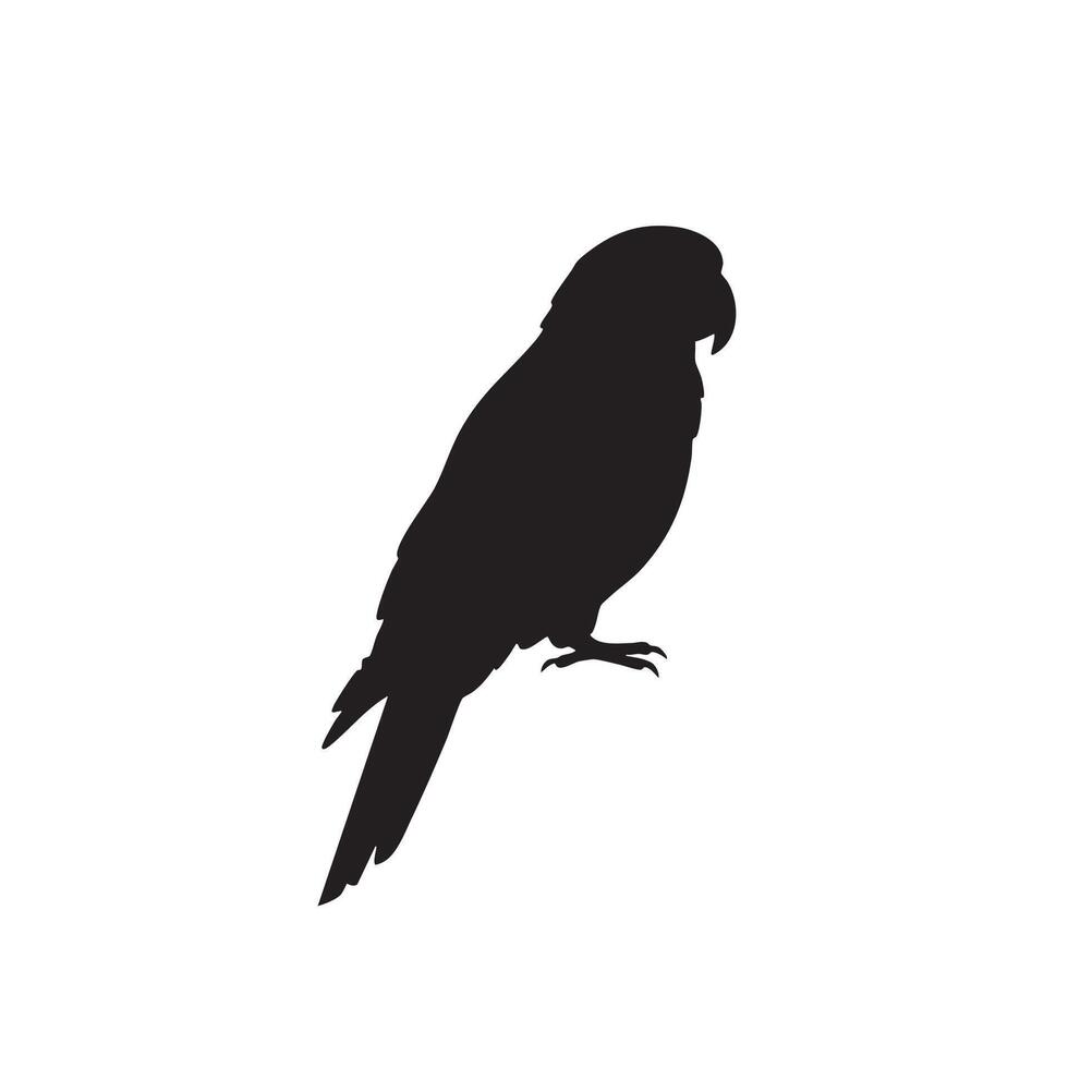 Black silhouette of a perched parrot with detailed feathers isolated on white background silhouette vector