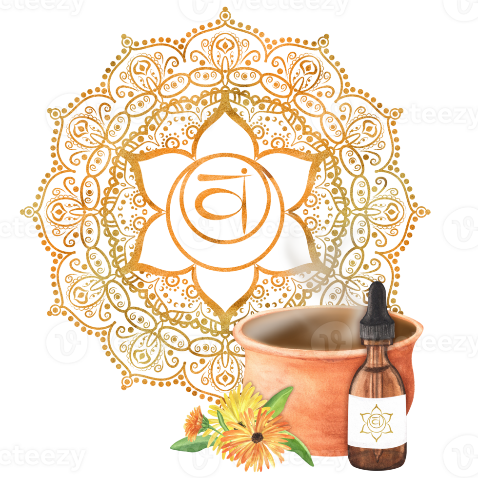 Watercolor clay pot with hot herbal infusion and glass vial with essential oil and calendula flowers and green leaves. Golden orange sacral chakra Svadhisthana with mandala. Hand-drawn illustration png