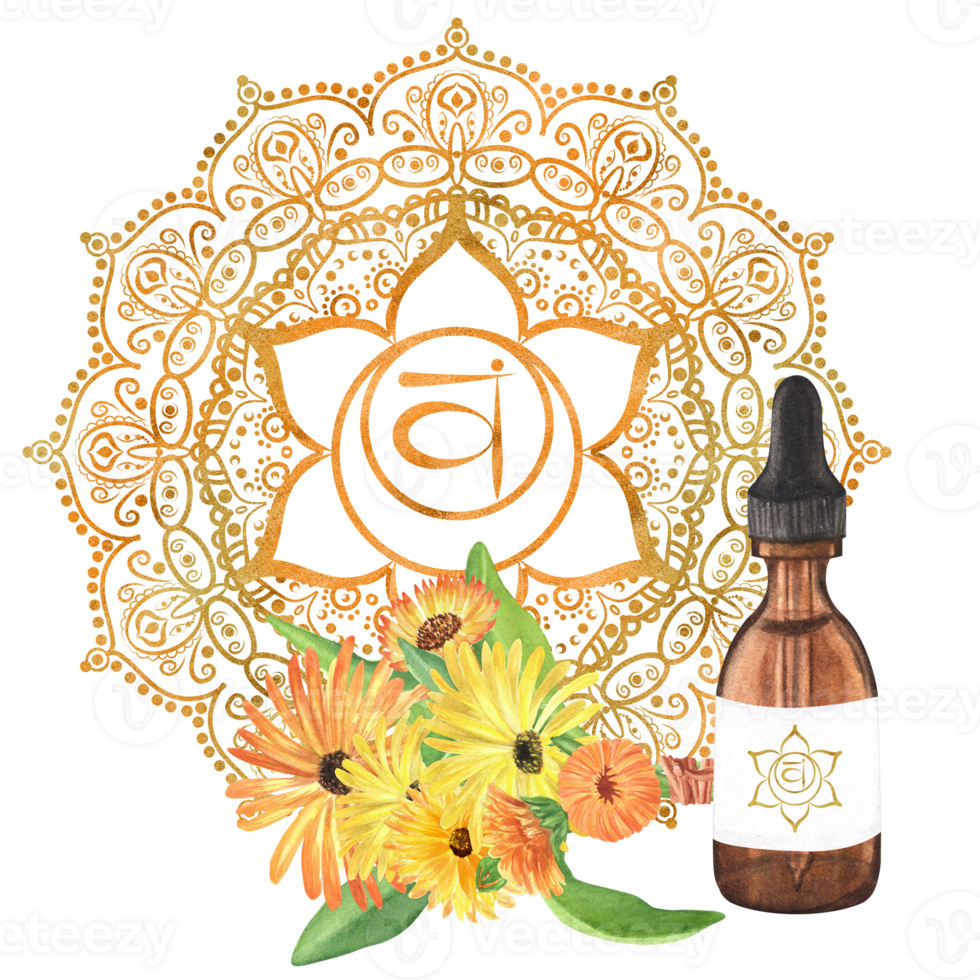 Watercolor glass vial with essential oil and calendula bouquet with yellow and orange flowers and green leaves. Golden orange sacral chakra Svadhisthana with mandala. Hand-drawn illustration png