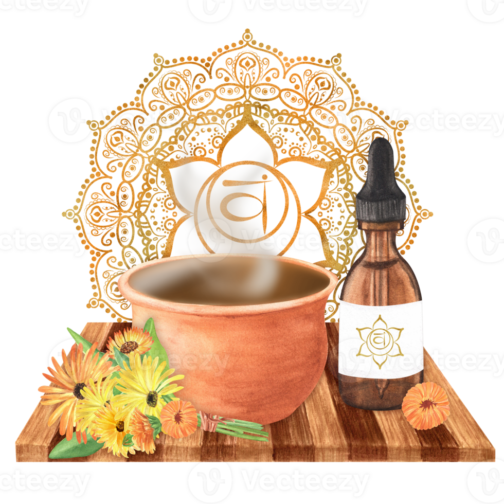 Watercolor glass vial with essential oil. clay pot with herbal infusion and calendula bouquet with flowers and leaves. Golden orange sacral chakra Svadhisthana and mandala. Hand-drawn illustration png