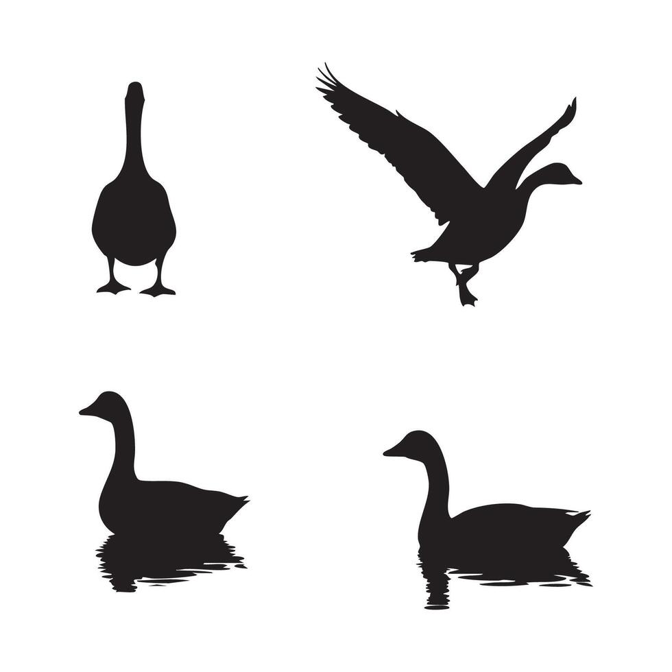 Four goose poses silhouette isolated on white background silhouette vector