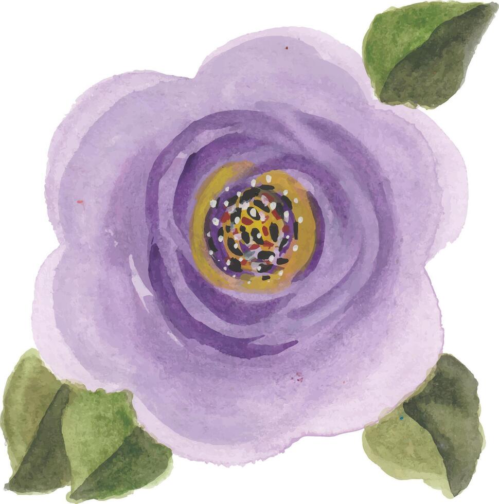 Watercolor Lavender Rose with Green Leaves vector
