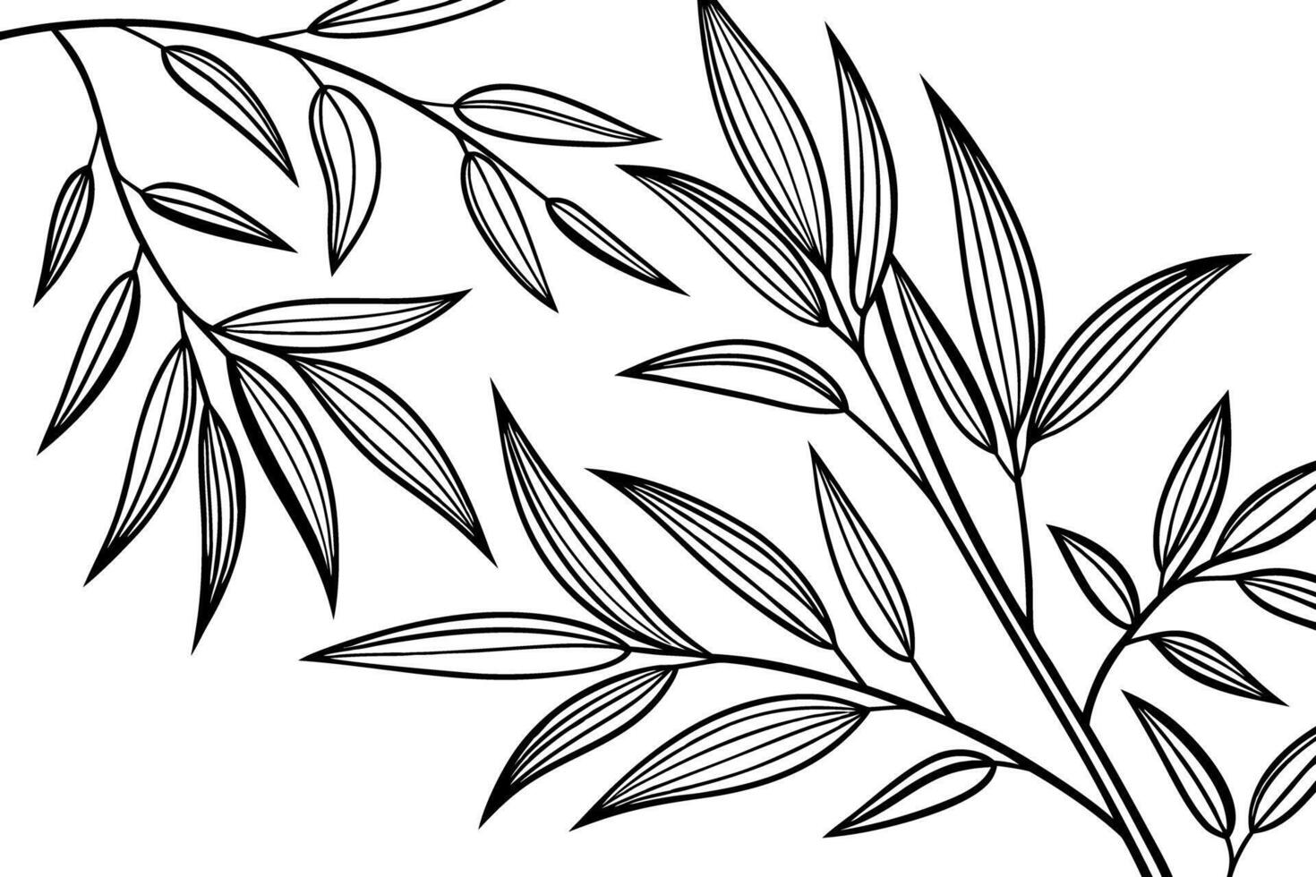 Elegant hand drawn sketch of bamboo branches with delicate leaves isolated on white background line art botanical illustration for design and decoration vector
