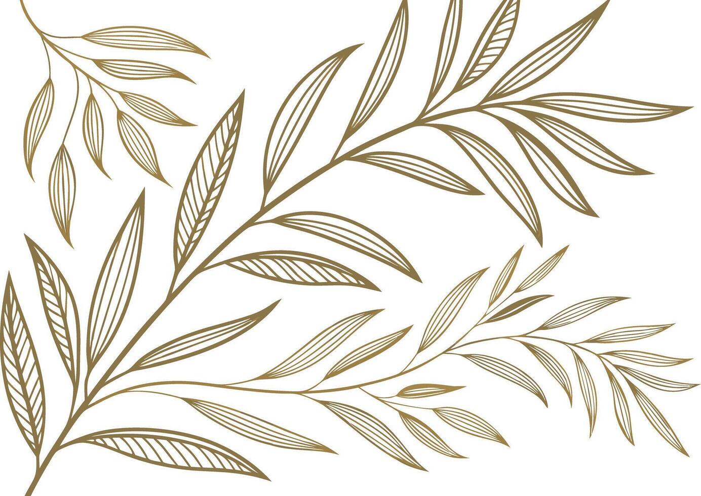 Delicate Hand Drawn Botanical Illustration of Olive Tree Branches with Subtle Leaf Patterns on a White Background vector