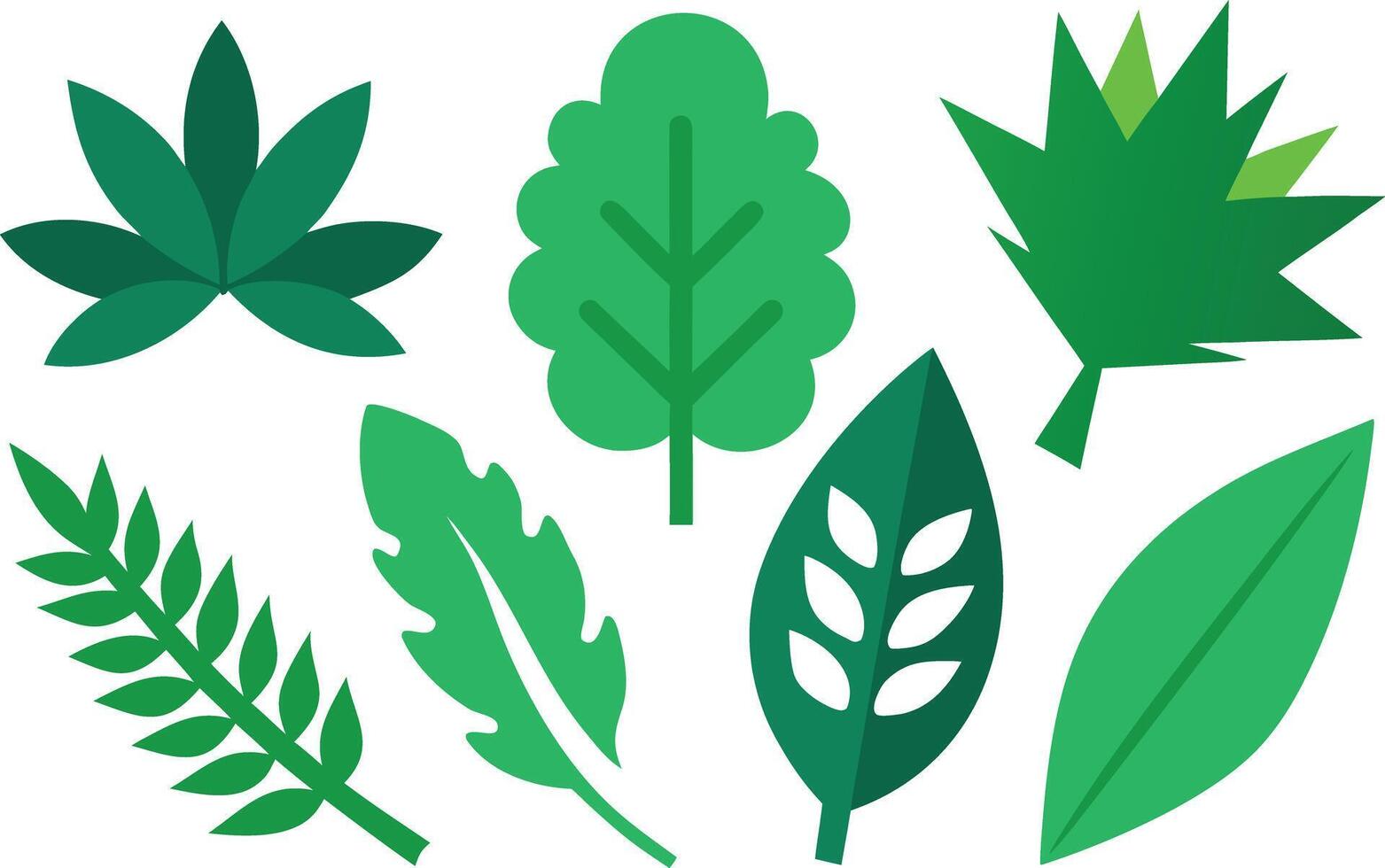 Collection of Various Green Leaf Shapes Illustration Flat Design Style Organic Botanical Elements vector