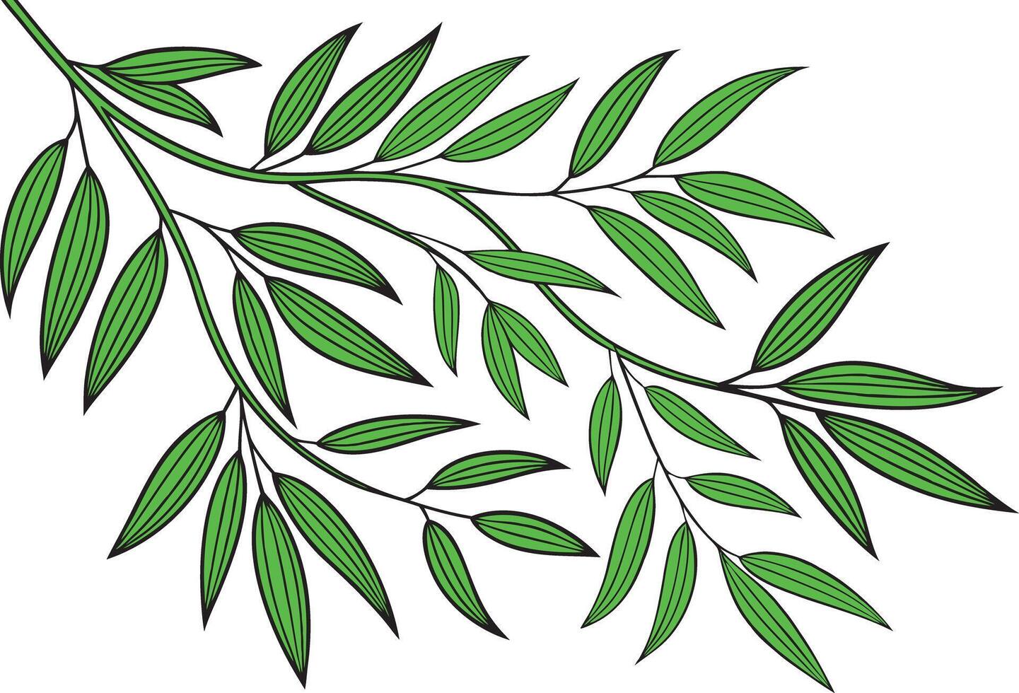 Green leafy branches with delicate long leaves against a white background in a natural botanical illustration style vector