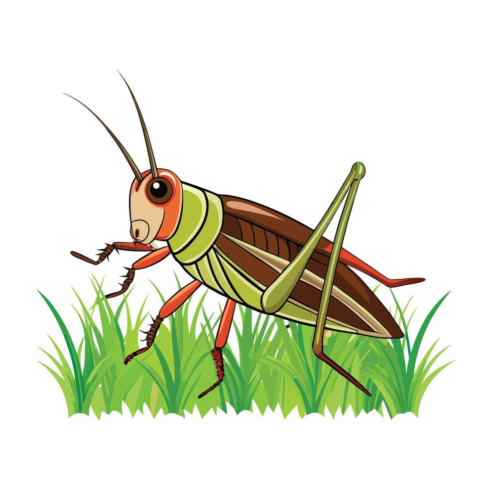 Cartoon grasshopper illustration featuring vibrant colors in a natural habitat setting vector