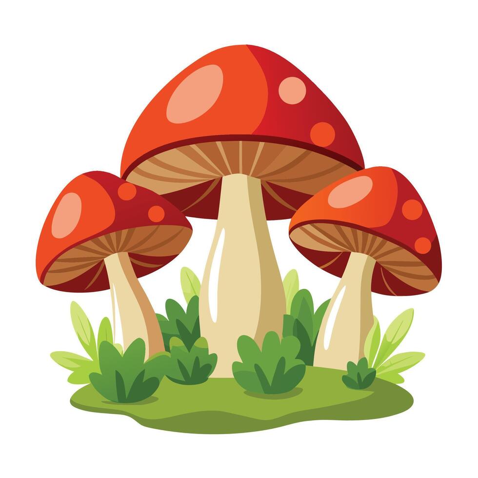 Three stylized mushrooms surrounded by green grass, cartoon illustration on white background. vector