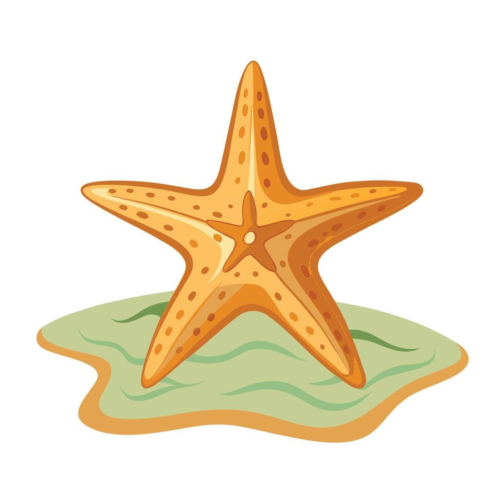 Stylized starfish resting on a small patch of sand near the ocean vector