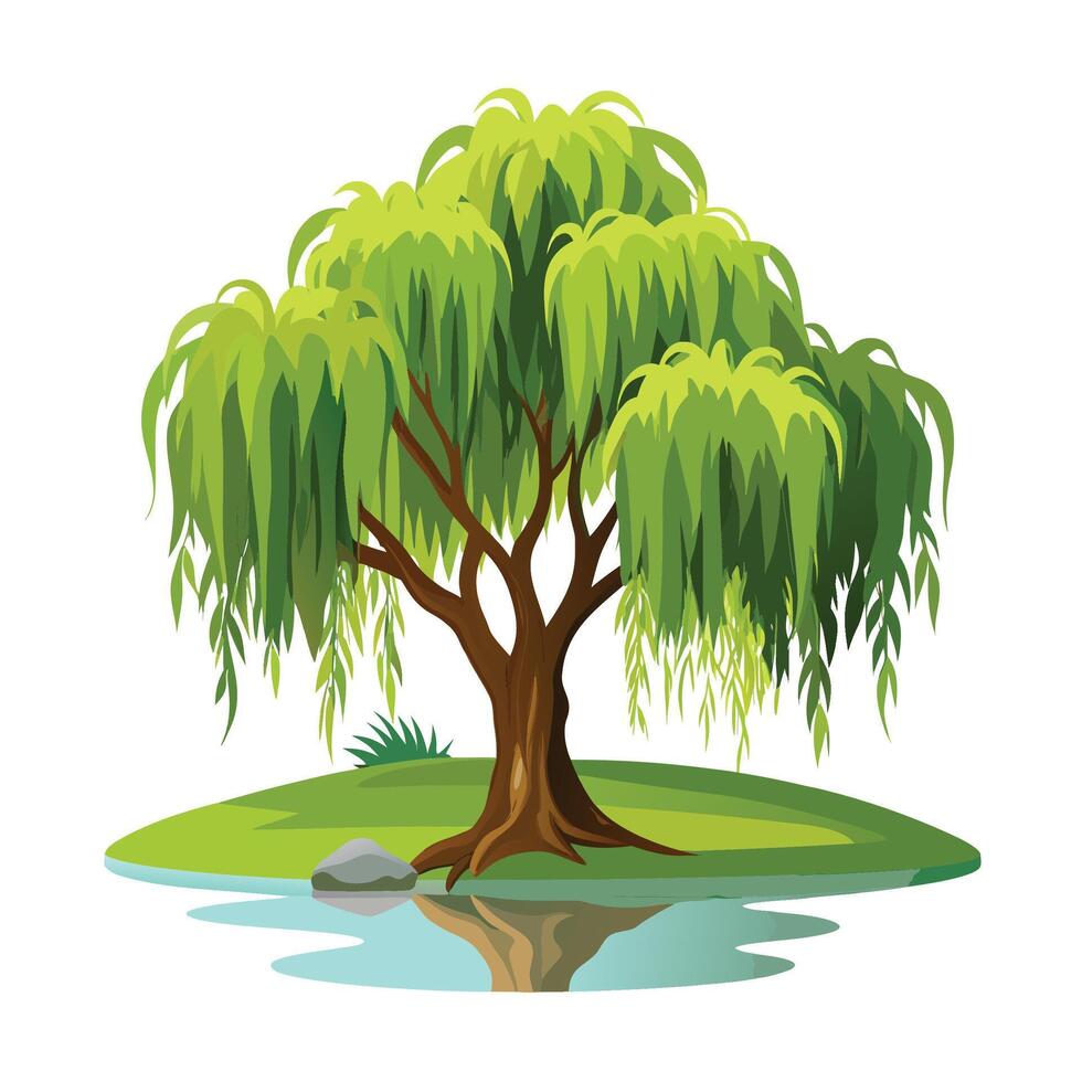 Cartoon willow tree on a small island with water reflection, idyllic scene vector
