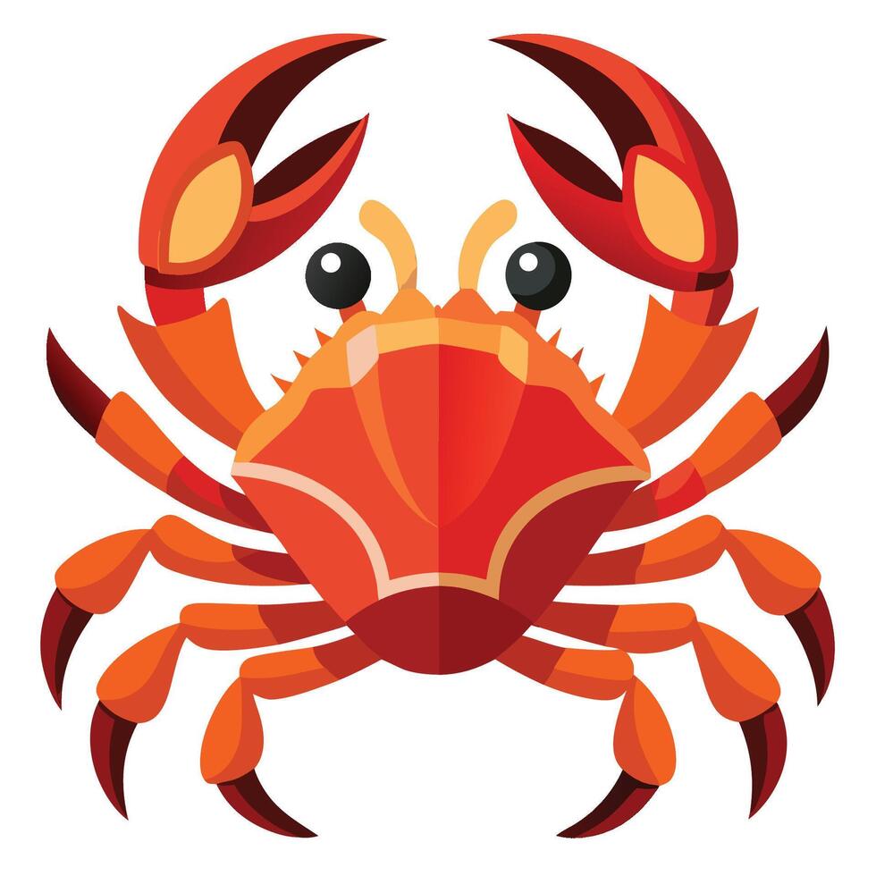 A cartoon crab on a white background vector