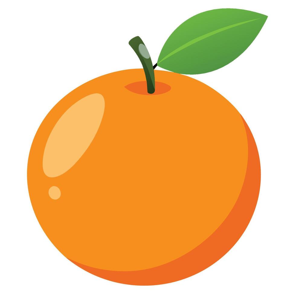 An orange is shown on a white background vector