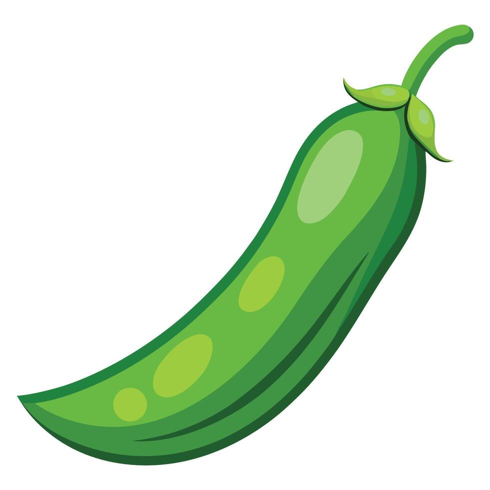 A green pepper on a white background vector