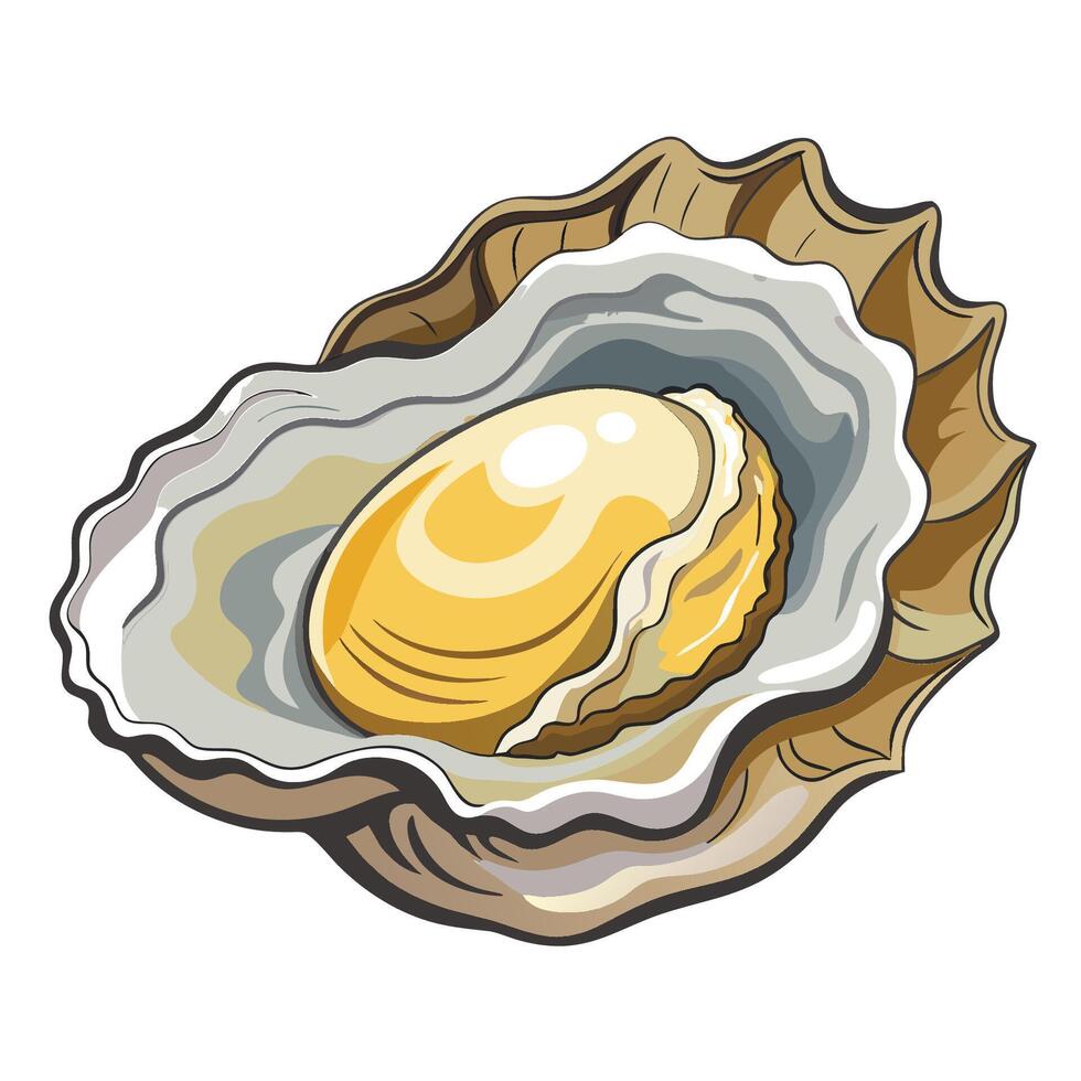 Oyster in shell illustration vector