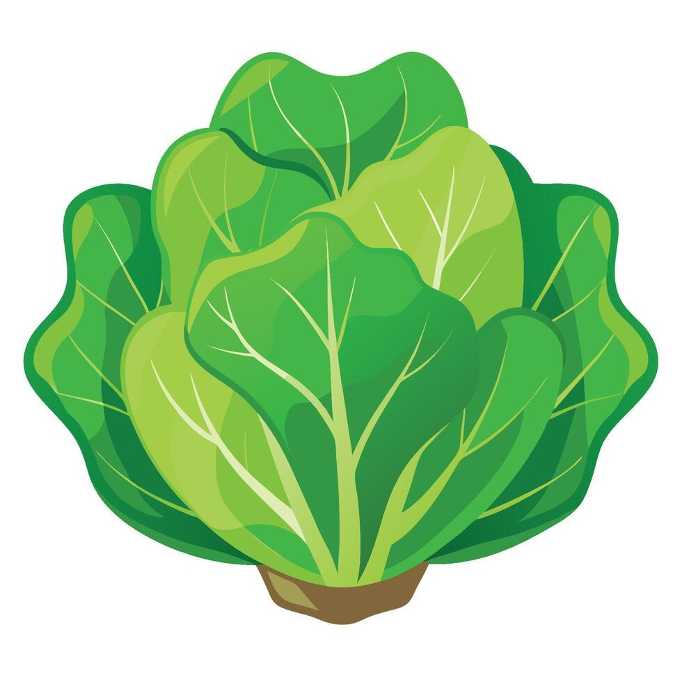 A green leafy vegetable icon on a white background vector