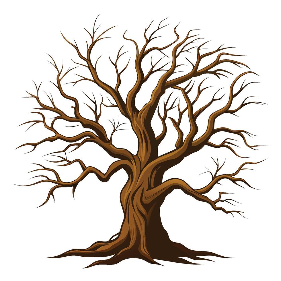 A tree with no leaves on a white background vector