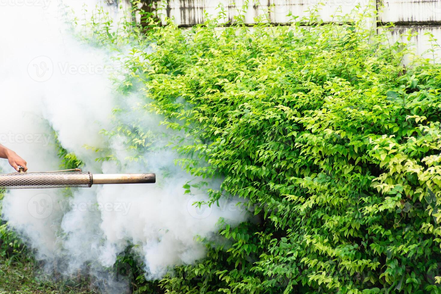A man spraying a bush with a hose photo