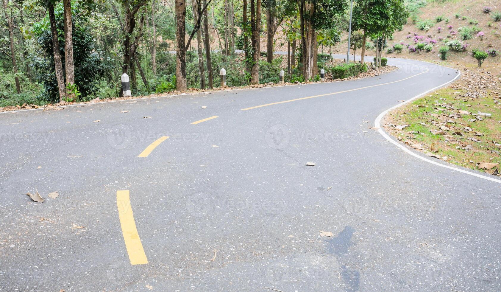 Asphalt curved road photo