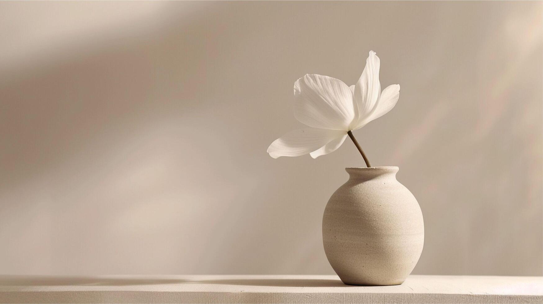 Flowers in white vase on table, beautiful spring still life. photo