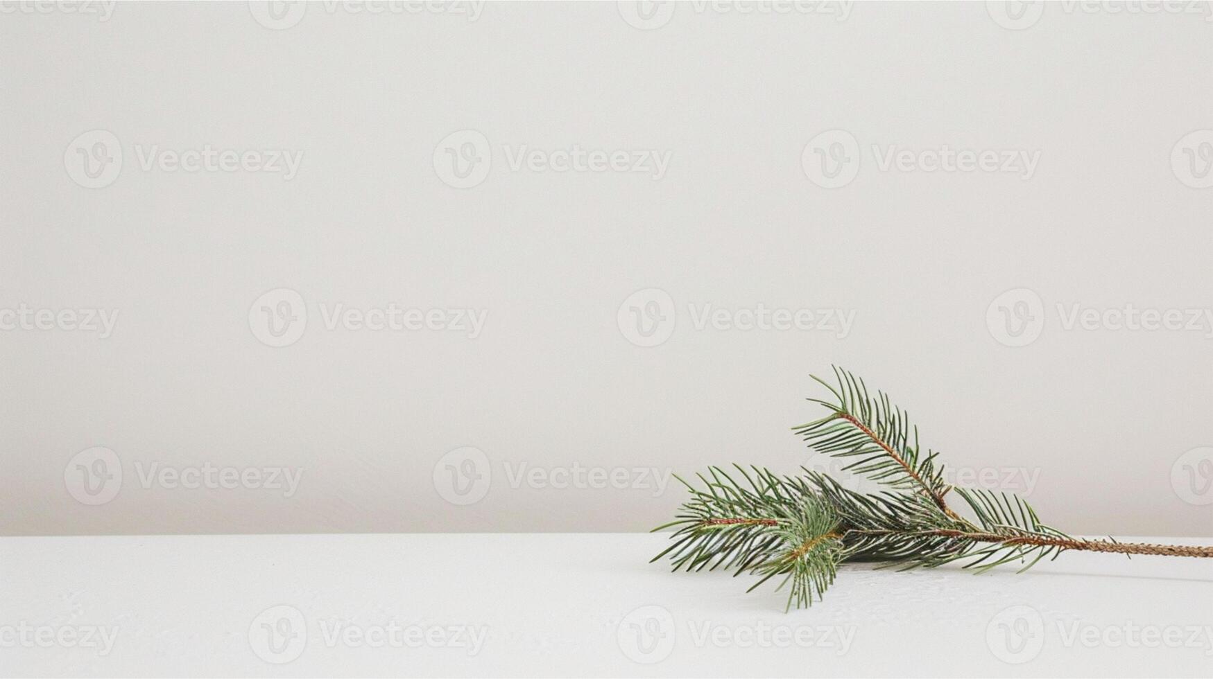Green fir branches and pine cones create a festive Christmas border decoration for the winter holiday season photo
