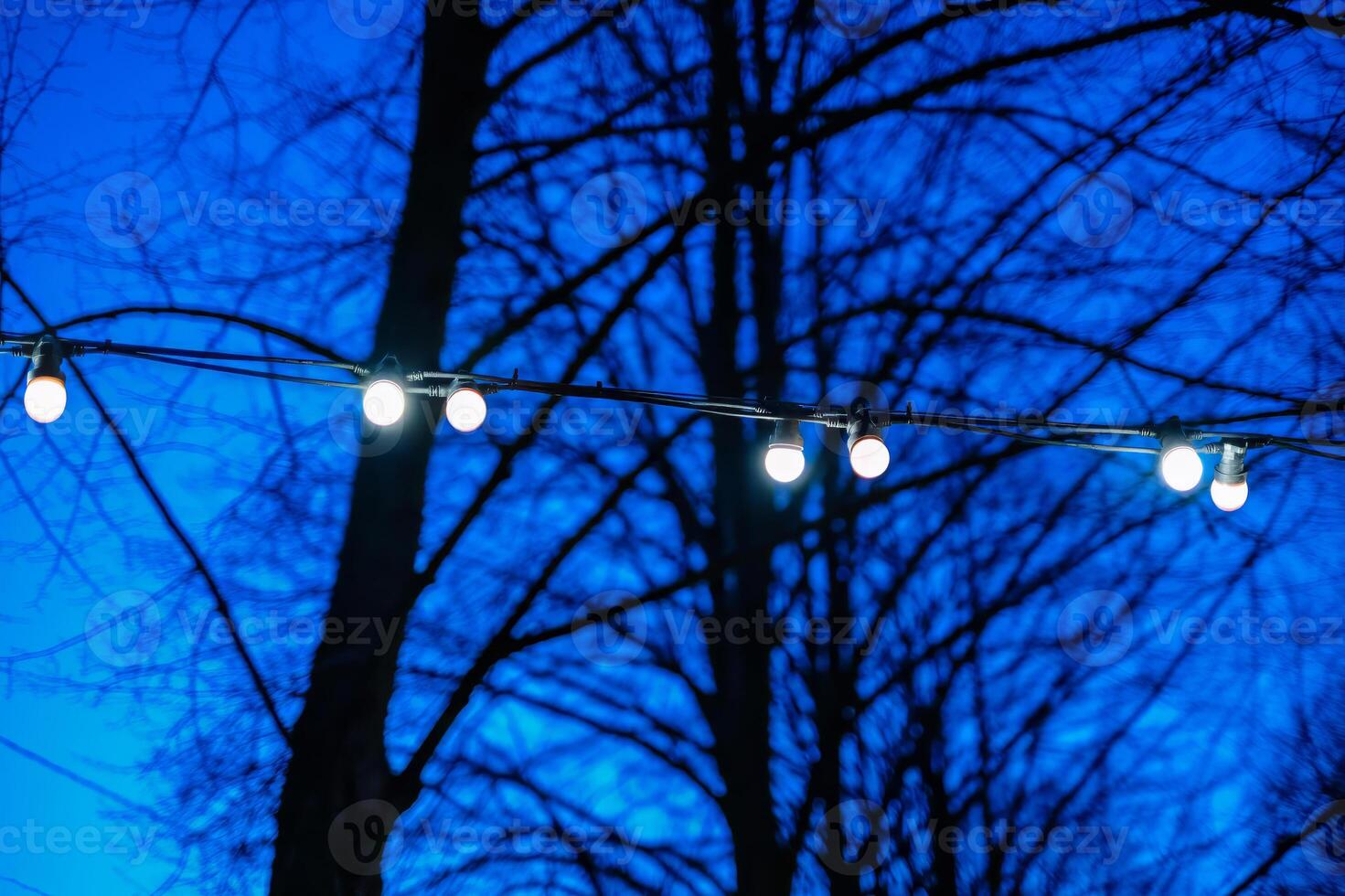 A captivating evening scene featuring a string of illuminated outdoor globe lights set against a deep blue twilight sky and the dark silhouettes of bare tree branches photo