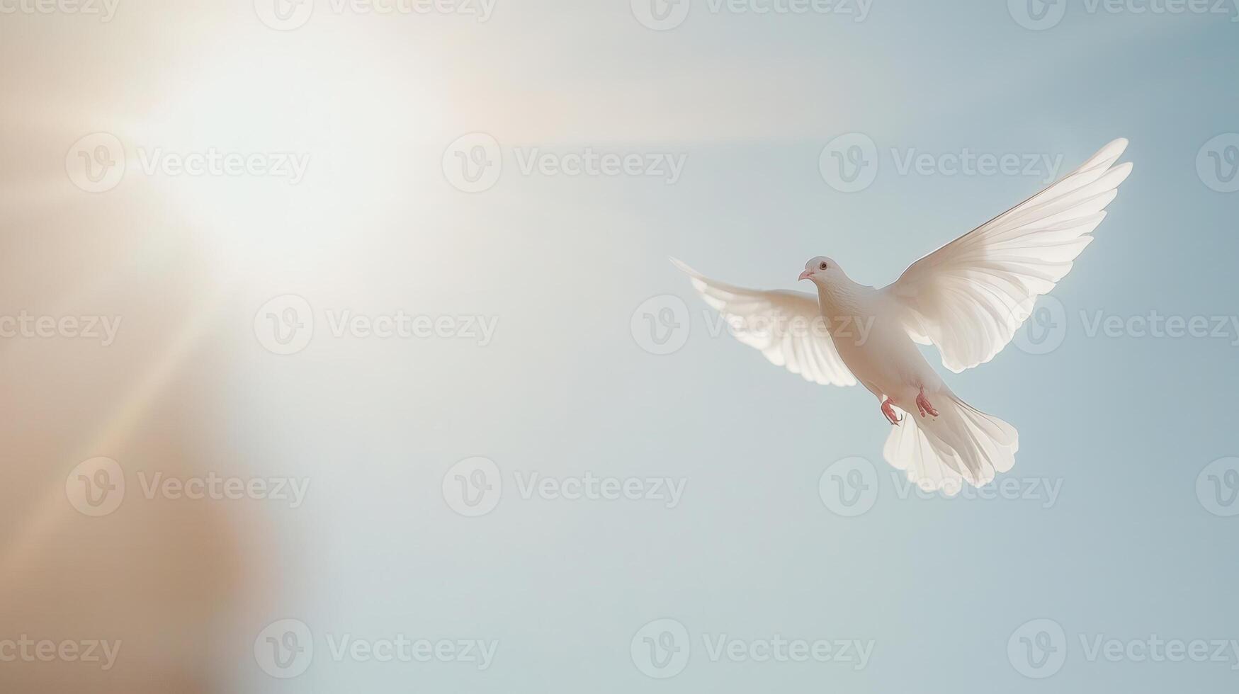 hope, white dove soaring gracefully against a soft blue Beautiful embodying peace, sky, and spirituality photo