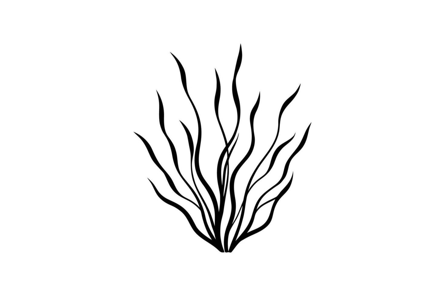 Abstract Seaweed Plant with Wavy Leaves in Black and White Minimalist Design Isolated on White Background Decorative Element Silhouette vector