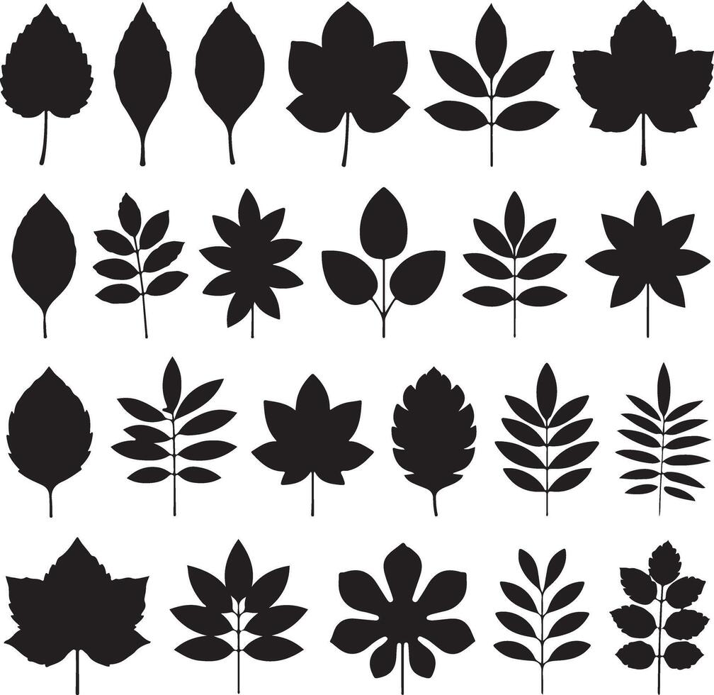 Collection of Twenty Four Black Silhouettes of Various Leaf Shapes and Branch Arrangements Isolated on White Background Illustration Graphic vector