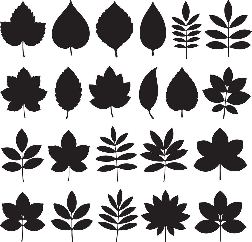 Twenty Four Black Silhouettes of Various Leaf Shapes and Branch Arrangements Isolated on White Background Illustration Set Botanical Design Elements vector