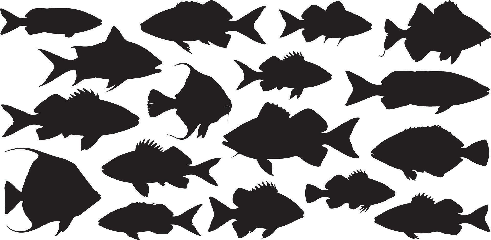 Black Silhouettes of Various Fish Species Illustration Collection Aquatic Life Ocean Wildlife Marine Animals Sea Creatures Underwater World vector