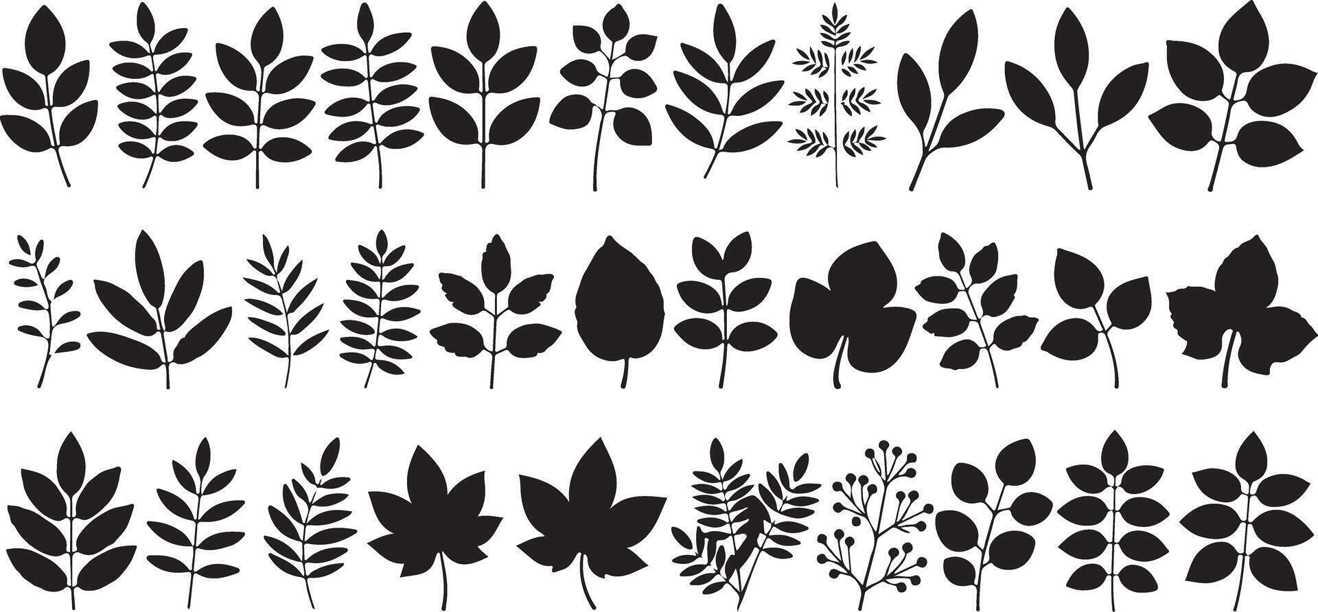 Collection of Thirty Black Silhouettes of Various Leaf and Branch Designs Simple Minimalist Botanical Illustrations for Design Projects vector