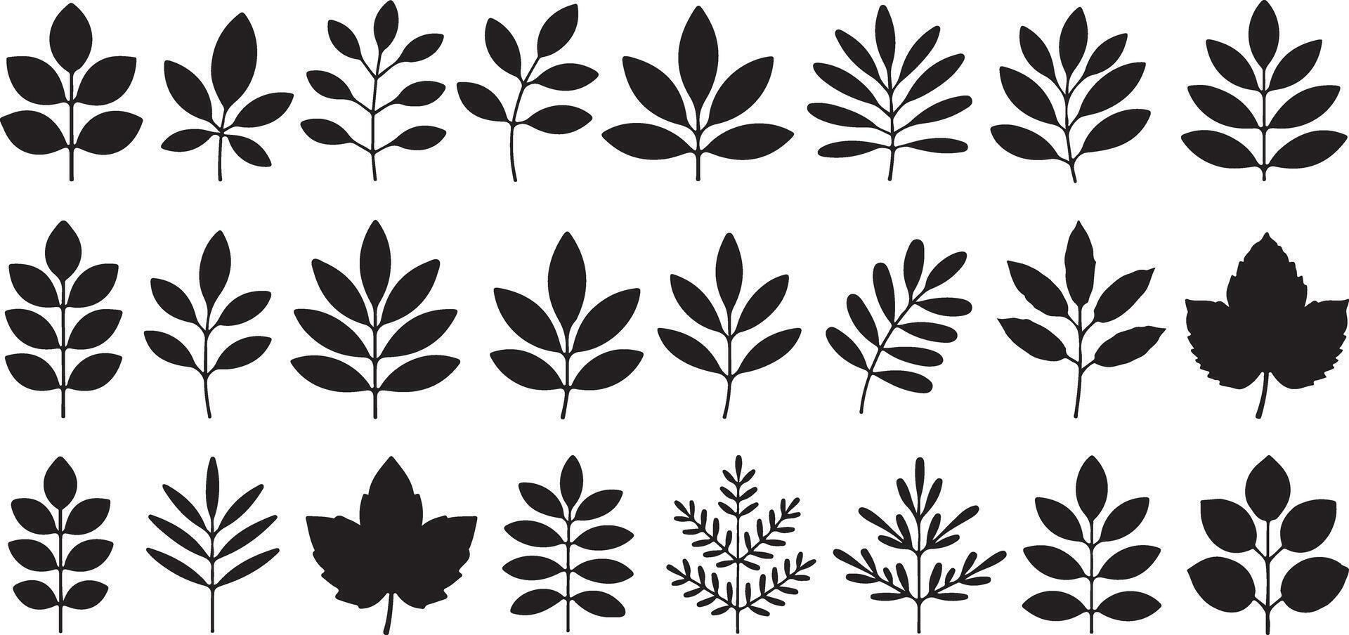 Collection of twenty four black silhouettes of various leaf and branch designs simple minimalist botanical illustrations traced from nature vector