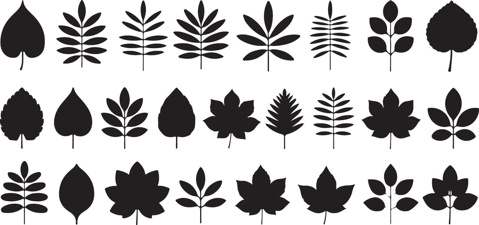 Thirty black leaf silhouettes various shapes and sizes botanical traced illustrations nature design elements simple minimalist graphic foliage vector