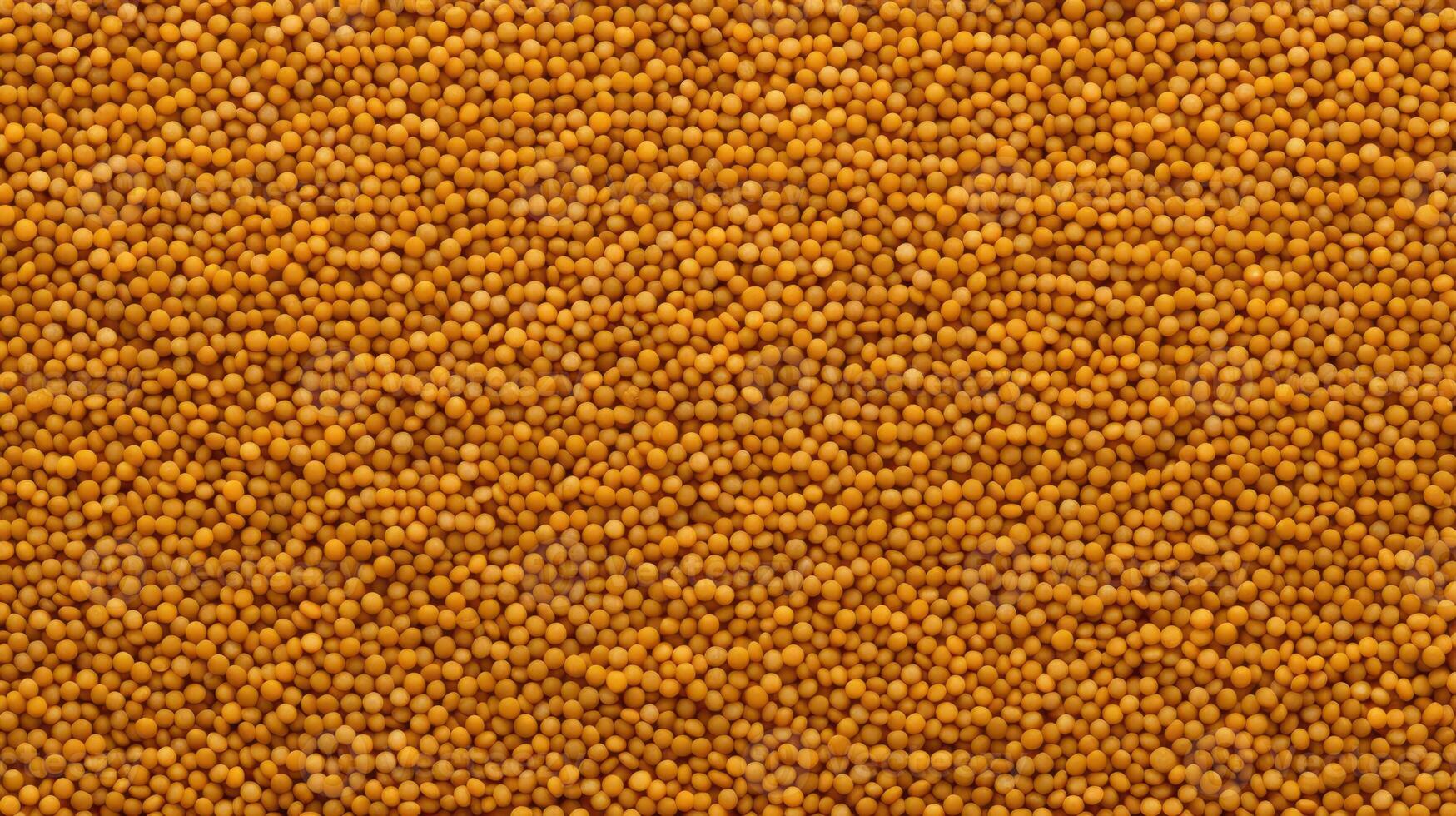 Pile of yellow mustard seeds, close-up view. photo