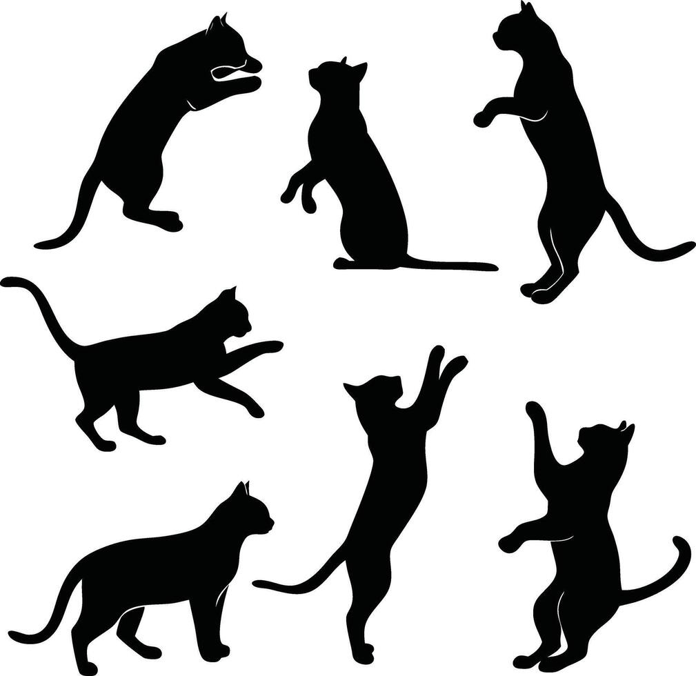 Cat silhouette bundle set A collection vector