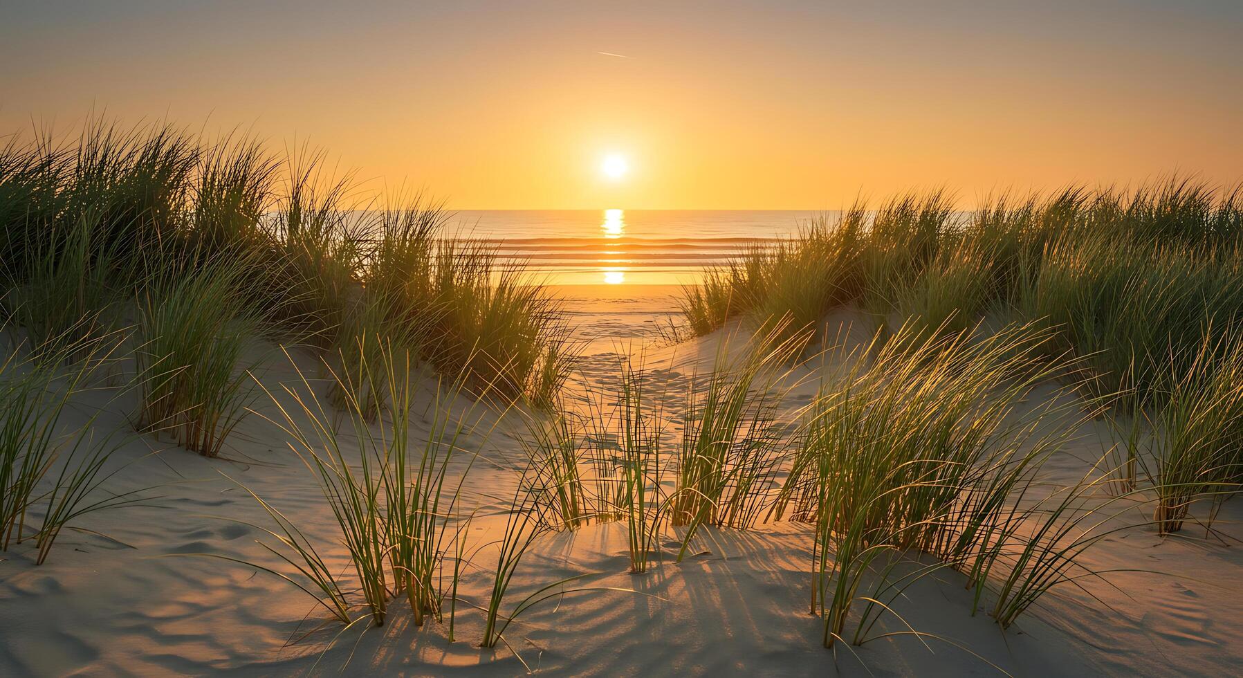A beach with grass and sand dunes at sunset photo