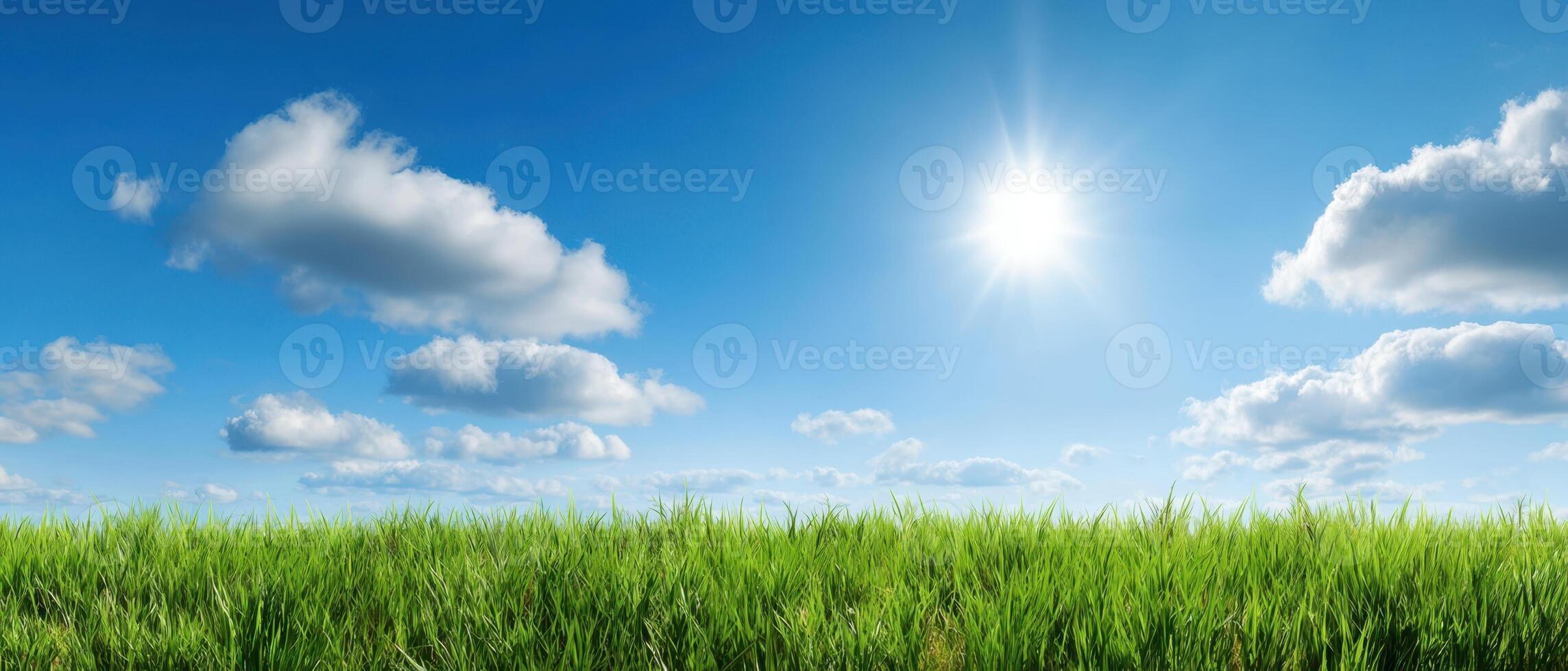The tranquil landscape featuring lush green grass under a bright blue sky photo