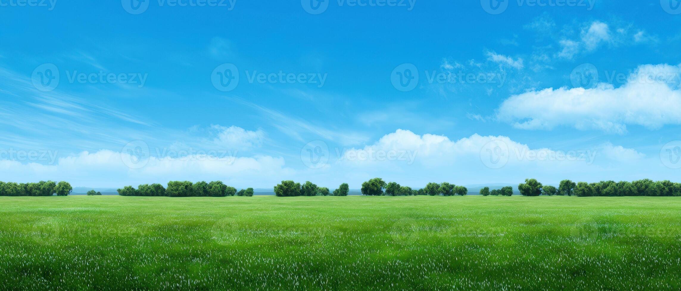 The expansive green field under a bright blue sky with fluffy clouds. photo