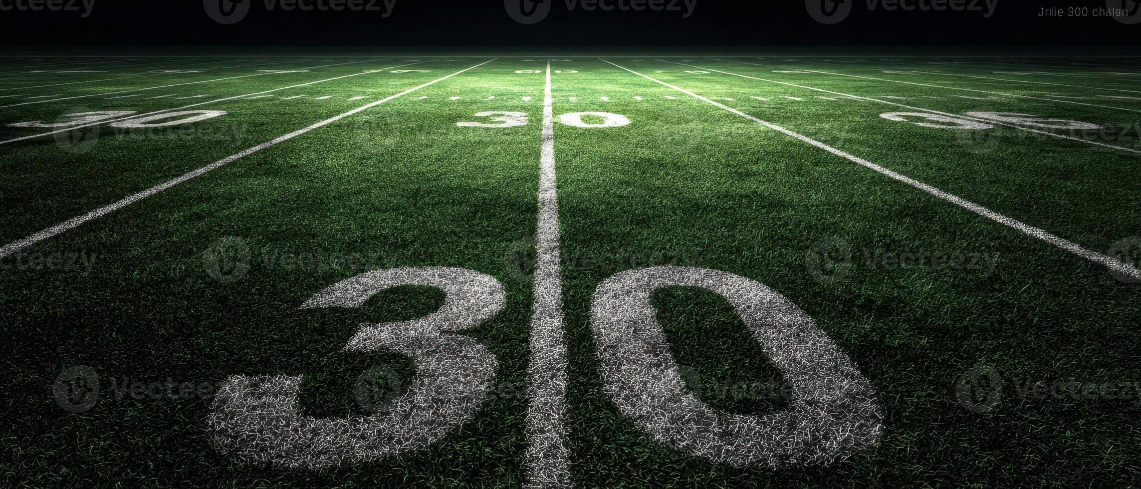 The illuminated football field showcasing the 30-yard line at night. photo