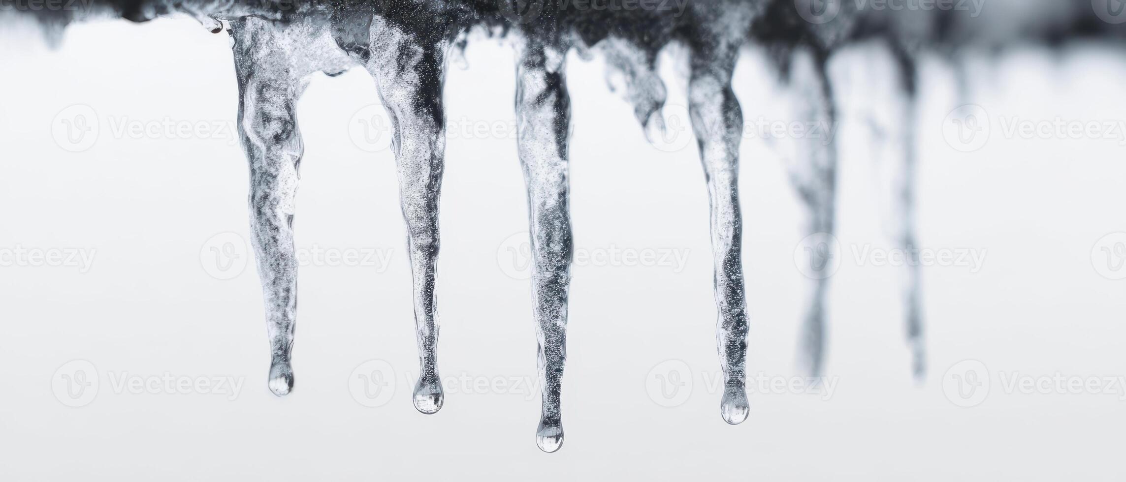 The delicate icicles dripping with clarity and frozen beauty in winter. photo
