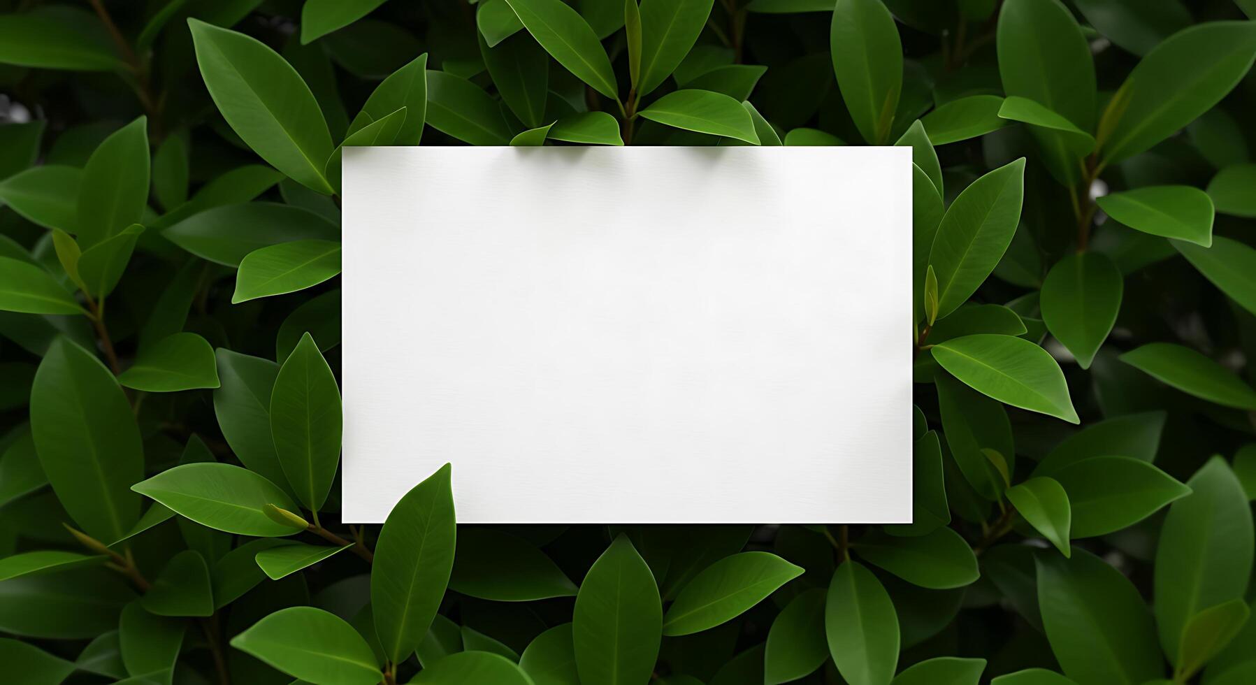A blank piece of paper is surrounded by green leaves photo