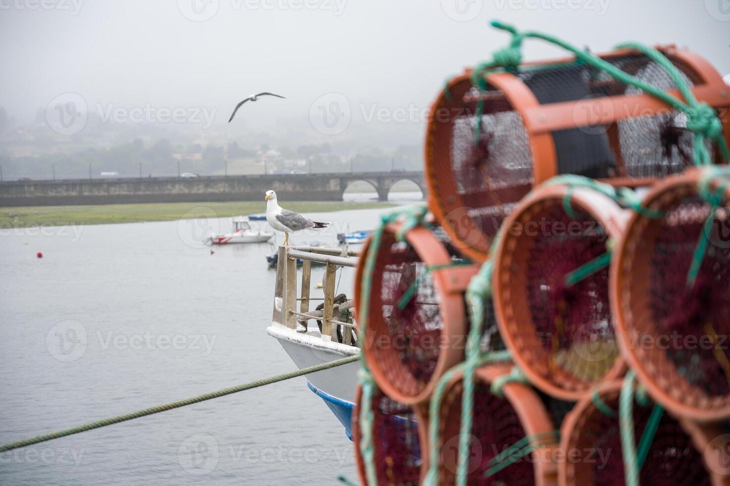 Octupus traditional fishing cage. These traditional cages, called nasa in Spanish, are used to capture octupus, one of the most important seafood in Galicia.4 photo