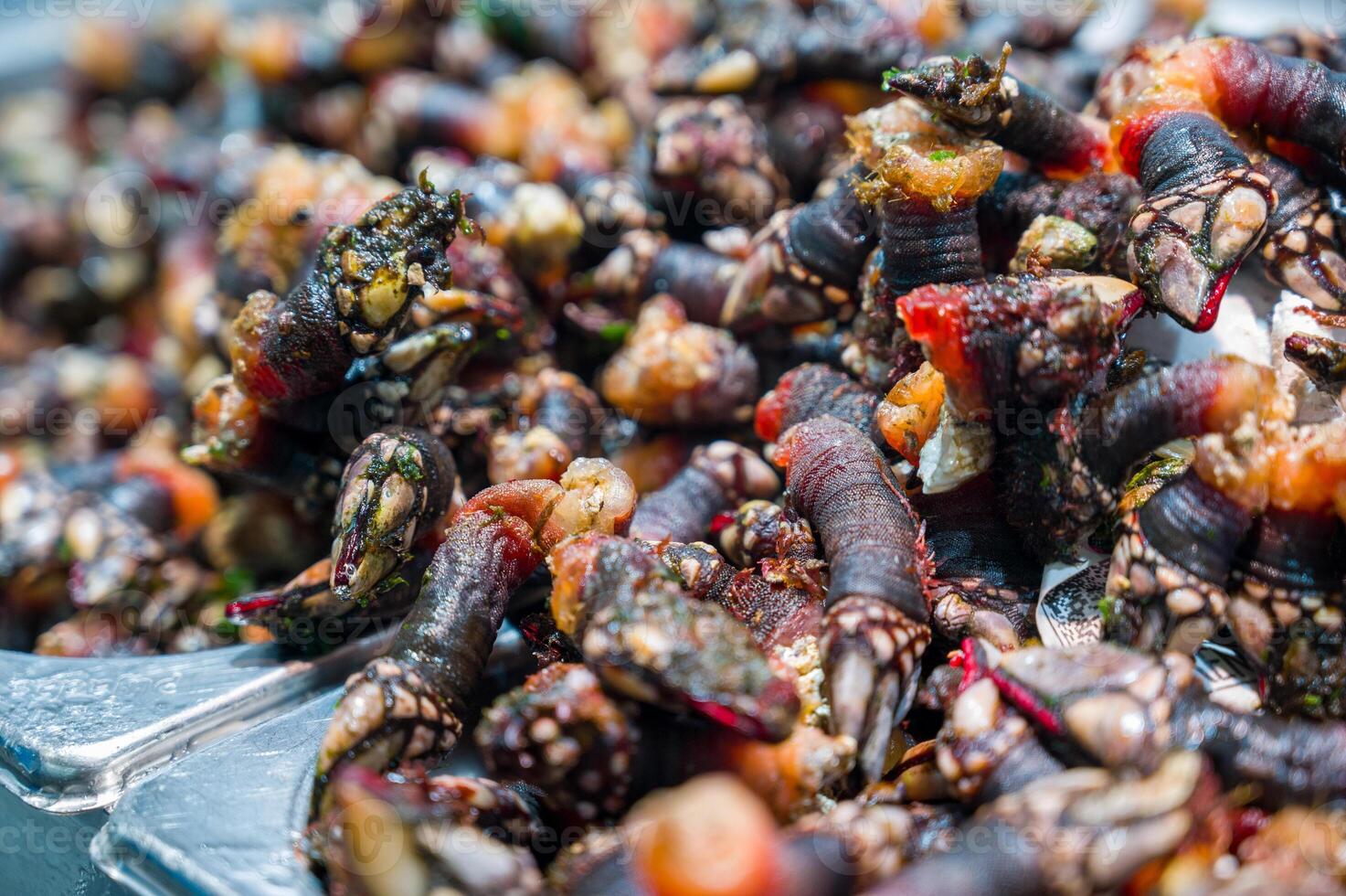 Fresh Goose neck barnacles or Galician barnacles known in Spain as percebes photo