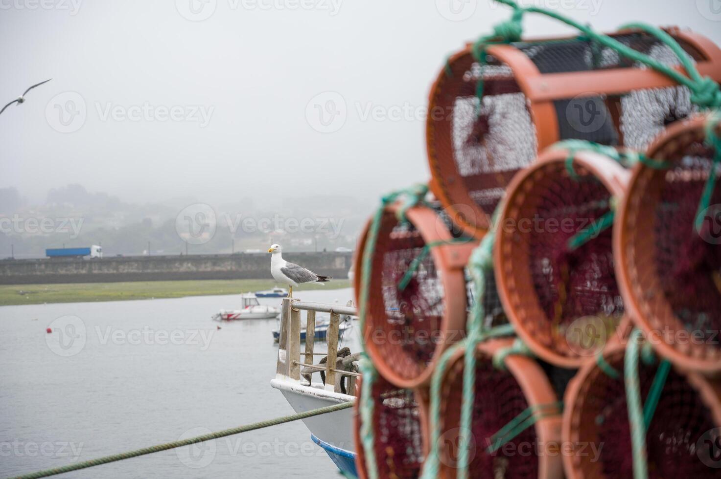 Octupus traditional fishing cage. These traditional cages, called nasa photo